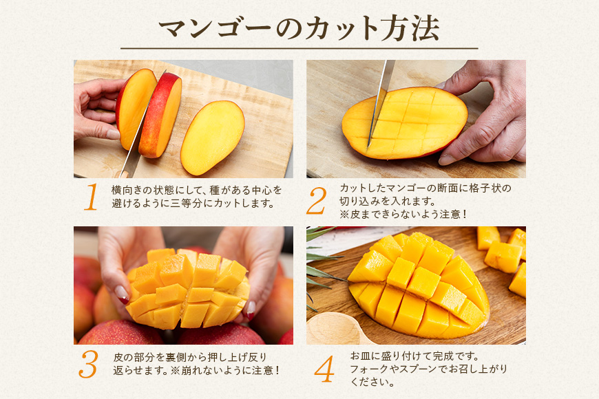 【 先行予約 2026年発送 】訳ありマンゴー 1kg