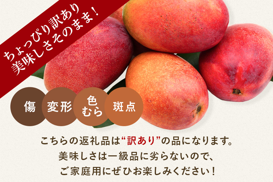 【 先行予約 2026年発送 】訳ありマンゴー 1kg