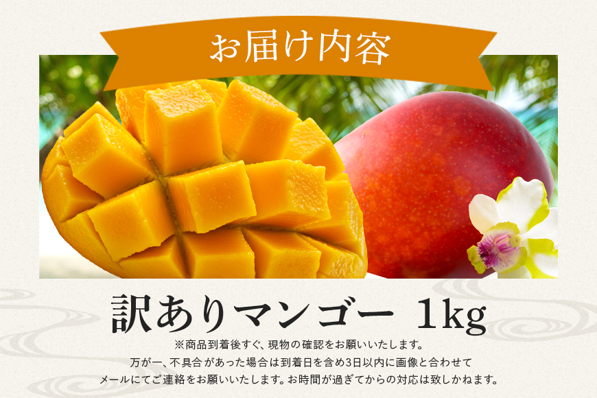 【 先行予約 2026年発送 】訳ありマンゴー 1kg