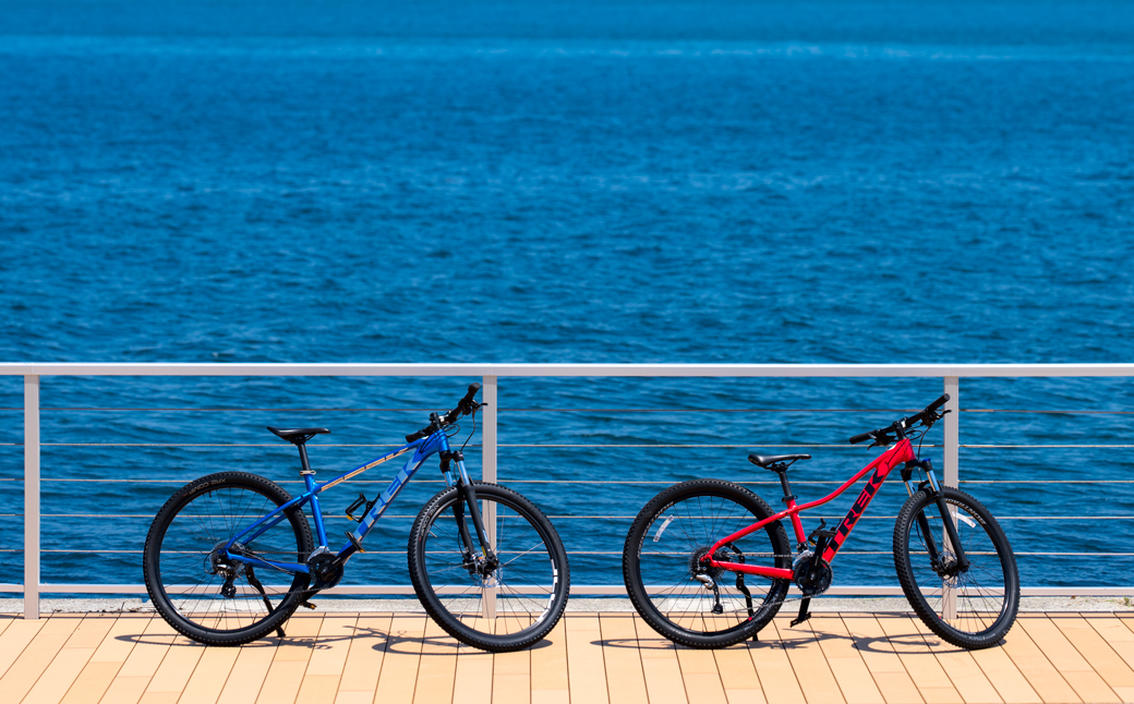 アクアイグニス淡路島 共通ご利用券（6万円分） 宿泊 温泉 観光 クーポン 割引券 日帰り温泉 