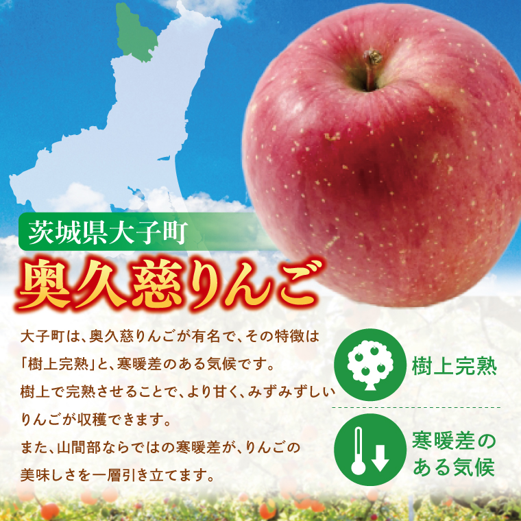 農家レストラン 手作り アップルパイ 8個（2個入り×4パック） 真空パック（BK001）