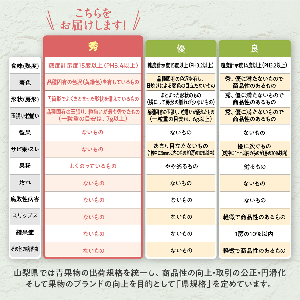 山梨県甲斐市のふるさと納税 【2026年発送分】シャインマスカット「こだわり」１kg以上　先行予約　2～3房　人気　おすすめ　国産　贈答　ギフト　お取り寄せ　　山梨県産　産地直送　フルーツ　果物　くだもの　ぶどう　ブドウ　葡萄　シャイン　シャインマスカット　新鮮　CD-1