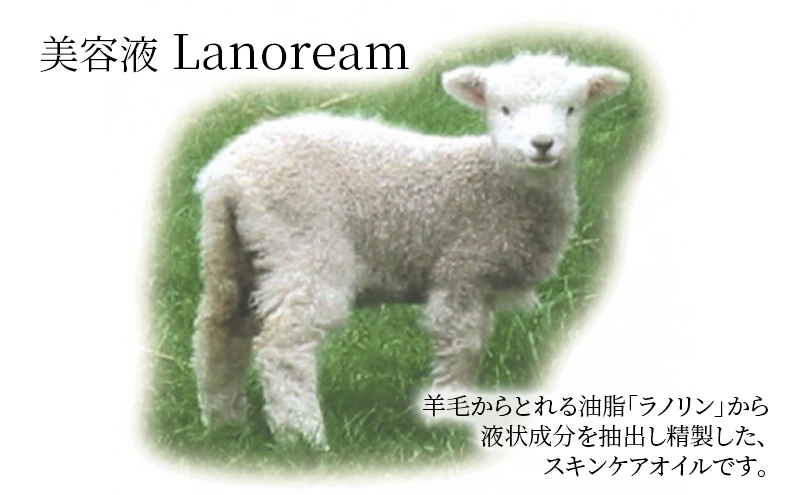 美容液　Lanoream ラノリーム 2本セット