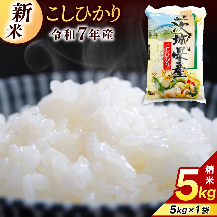 �y��錧�����s�z�R�V�q�J�� 5kg (5kg × 1��)�y�ߘa7�N�Y�z�� ���� ���� �����Ђ��� ��錧 �����s ���Y �������� ���� ���͂� ���ɂ��� ��߂Ă� �������� �S�� ���܂� ���I �o�ג��O���� �c�� ������ ���܂��iKY-19�j