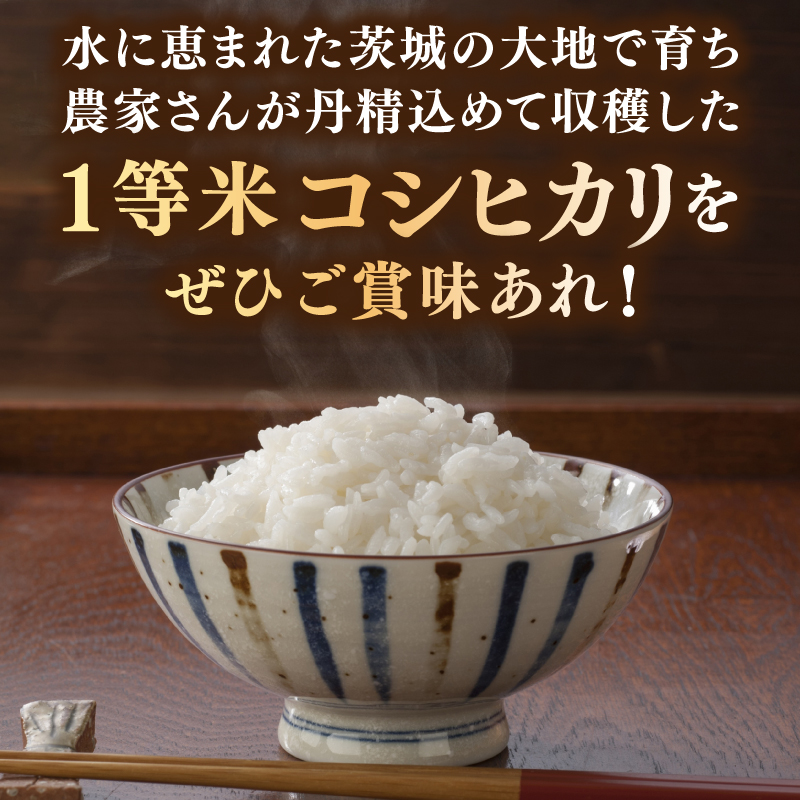 ★1等米★ コシヒカリ 5kg (5kg × 1袋)【令和6年産】米 精米 白米 こしひかり 茨城県 鹿嶋市 国産 送料無料 お米 ごはん おにぎり 冷めても 美味しい 粘り うまみ 厳選 出荷直前精米 ツヤ かおり うまい（KY-19）
