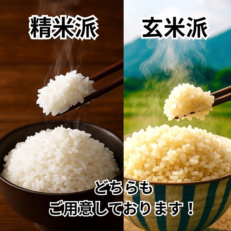 令和7年産新米 キヌヒカリ 5kg (精米) 明田のお米
