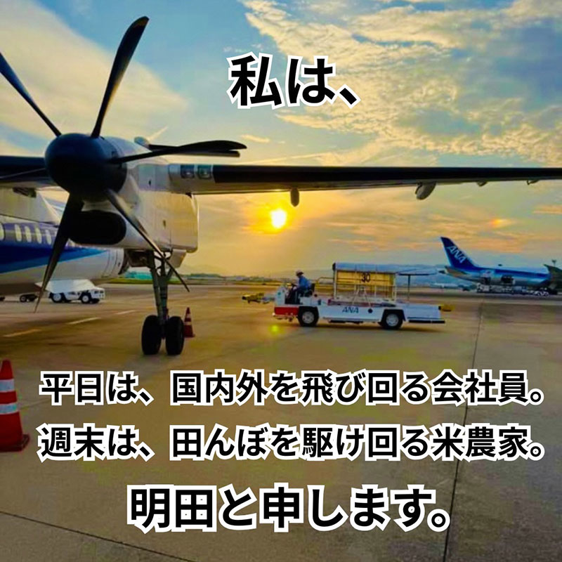 令和7年産新米 キヌヒカリ 10kg (精米) 明田のお米