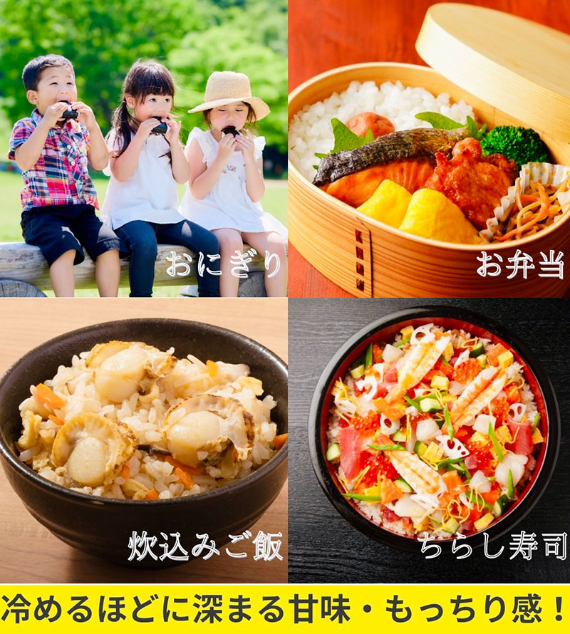 令和7年産新米 キヌヒカリ 10kg (精米) 明田のお米