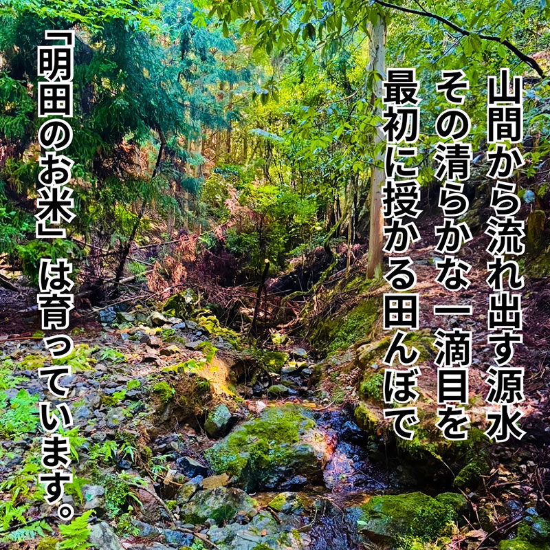令和7年産新米 キヌヒカリ 5kg (玄米) 明田のお米