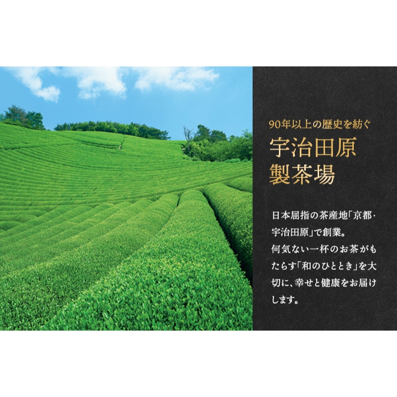 京都府宇治田原町のふるさと納税 こいまろ茶6本組(100g×6本)〈お茶 茶 緑茶 煎茶 宇治抹茶 宇治 深むし 深蒸し茶 若蒸し茶 玉露 モンドセレクション 金賞 まろやか 加工食品 飲料〉