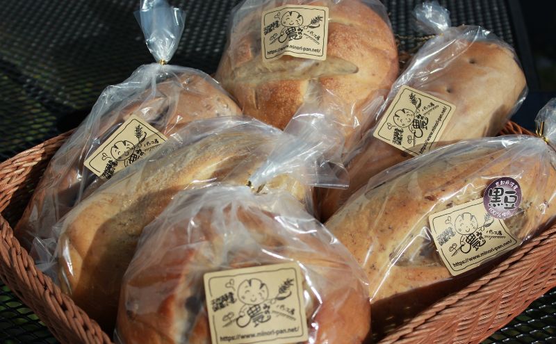 【定期便6回】手づくり天然酵母大きな食事パンセット6種 詰め合わせ 手作り 天然酵母 国産小麦 自然発酵