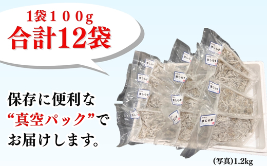 生しらす(お刺身) 1.2kg(100ｇ×12個) 岬だより