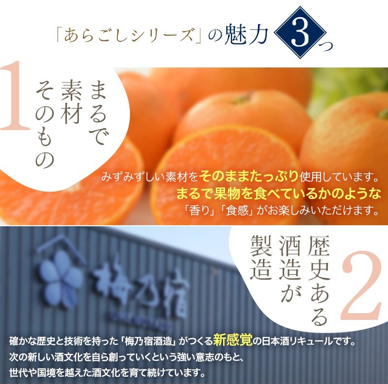 奈良県葛城市のふるさと納税 梅乃宿 あらごしジンジャー ７２０ｍｌ ／ ジンジャー リキュール スパイシー 国産 すりおろし しょうが 爽やかな 香り 奈良県 葛城市