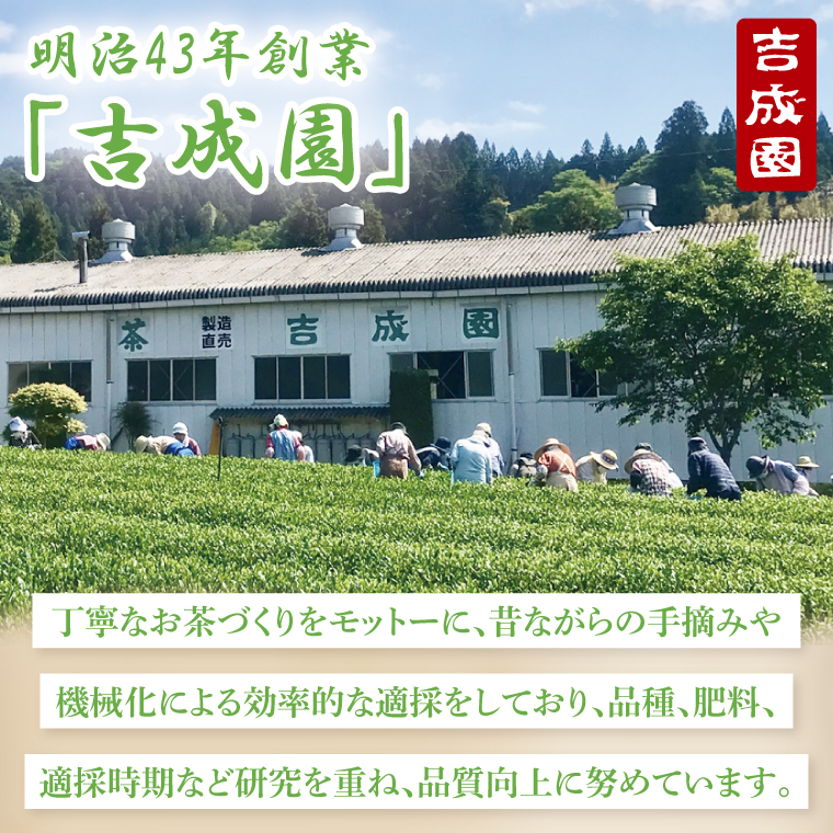 吉成園 オリジナル TeaBag 4種 セット 【濃い緑茶 、特上煎茶、ほうじ茶＋生姜、シナモン＋緑茶】茨城県大子町産奥久慈茶(BW002)