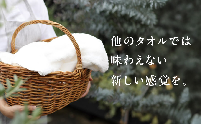 大阪府泉佐野市のふるさと納税 SUTEKI フェイスタオル グレー 12枚 G3154