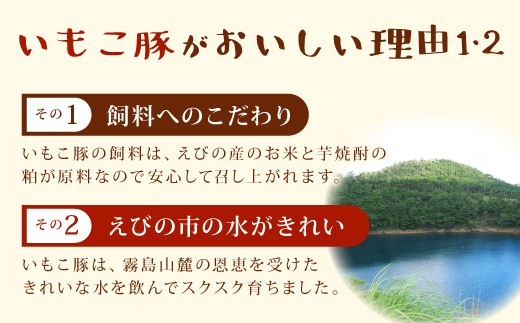 【6回定期便】豚肉 宮崎県産 いもこ豚 焼肉 セット 2.1kg × 6回 総合計 12.6kg  切り落とし 小分け 豚 豚バラ バラ ロース 肩ロース スライス 小間切れ 焼肉用 焼き肉 BBQ 鉄板焼き 豚丼 国産 九州産 宮崎 ブランド 冷凍 送料無料