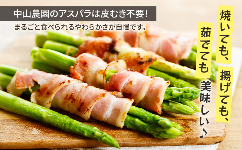 【2026年春発送】富良野産 アスパラ 約1kg 贅沢な太め (L～3Lサイズ混合) 中山農園 甘い やわらかい アスパラガス アスパラ 新鮮 野菜 産地直送 北海道 富良野 ふらの