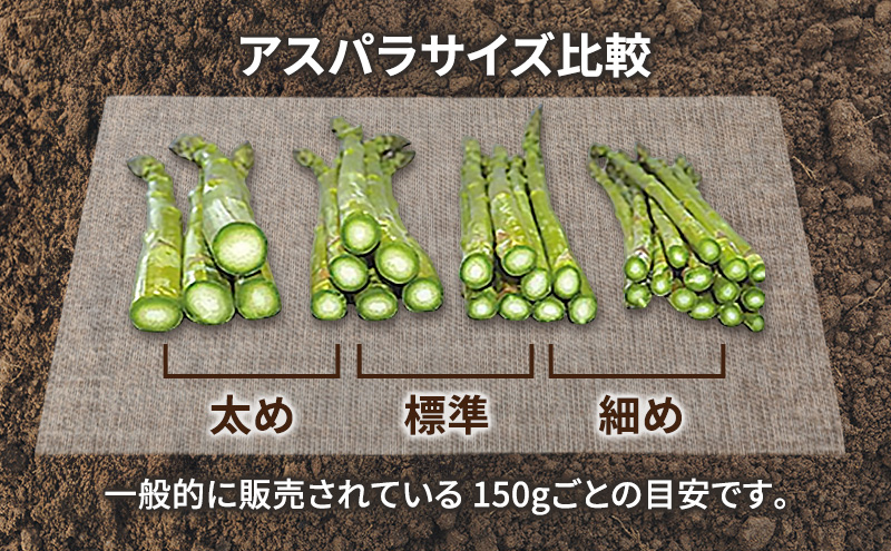【2026年春発送】富良野産 アスパラ 約1kg 細め (S～Mサイズ混合) 中山農園 甘い やわらかい アスパラガス アスパラ 新鮮 野菜 産地直送 北海道 富良野 ふらの