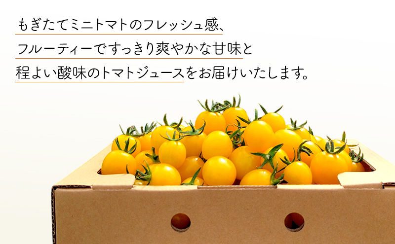 北海道 仁木町産 高糖度 ミニトマトジュース 1L×6本 [エコスイートレモン(新品種)] 無塩・無糖・保存料無添加 栽培期間中農薬・化学肥料・除草剤不使用【2025年産】 [Farm Watanabe]