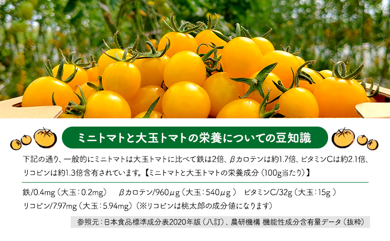 北海道 仁木町産 高糖度 ミニトマトジュース 1L×12本 [エコスイートレモン(新品種)] 無塩・無糖・保存料無添加 栽培期間中農薬・化学肥料・除草剤不使用【2025年産】 [Farm Watanabe]