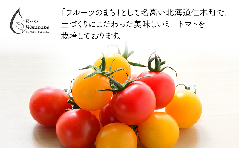 北海道 仁木町産 高糖度 ミニトマトジュース 1L×2本 [エコスイートレモン(新品種)×1本][エコスイート×1本] 無塩・無糖・保存料無添加 栽培期間中農薬・化学肥料・除草剤不使用【2025年産】 [Farm Watanabe]