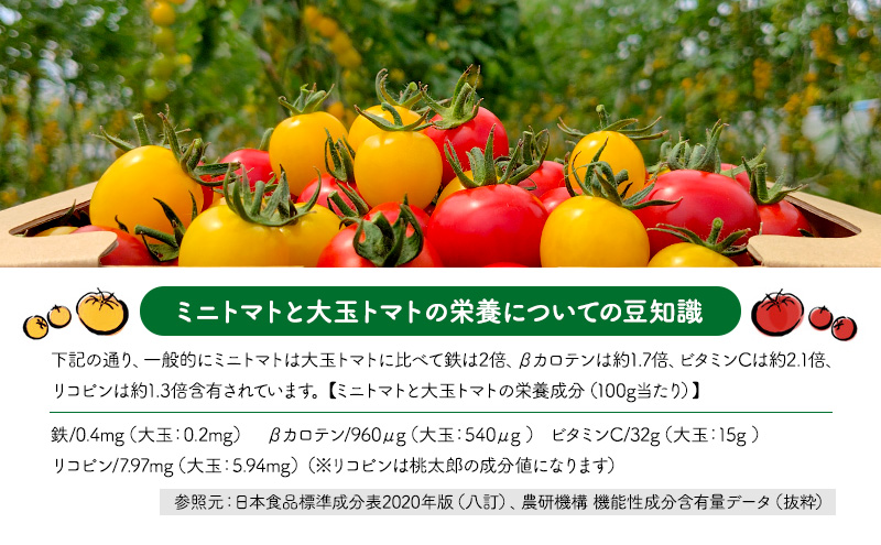 北海道 仁木町産 高糖度 ミニトマトジュース 1L×12本 [エコスイートレモン(新品種)×6本][エコスイート×6本] 無塩・無糖・保存料無添加 栽培期間中農薬・化学肥料・除草剤不使用【2025年産】 [Farm Watanabe]