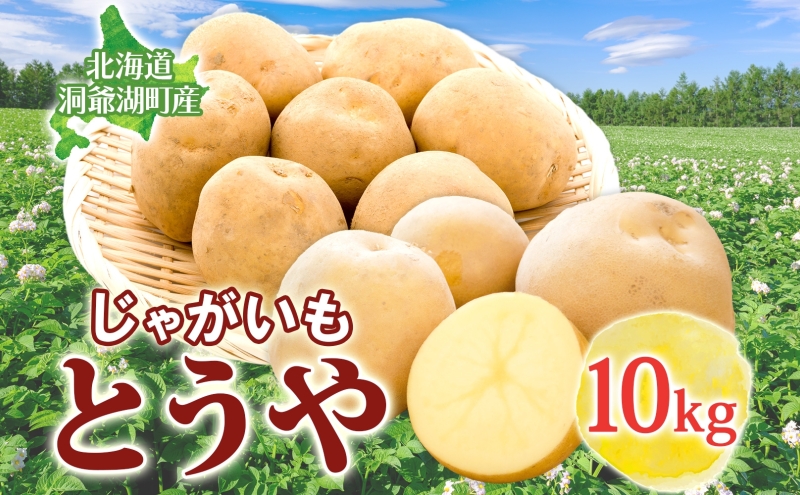 [セゾン限定]じゃがいも とうや 10kg 9月上旬〜12月中旬までお届け ジャガイモ 芋 甘い なめらか しっとり ポタージュ カレー 調理 料理 煮込み料理 旬 季節 農作物 野菜 根菜 北海道 とうや湖農業協同組合