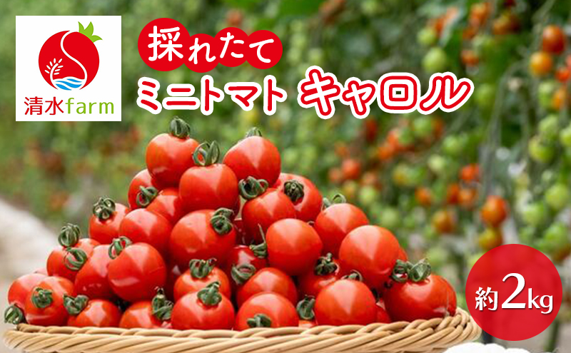 ykCxǖszy2026N7zxǖY ̂ꂽĒ! ~jg}g L10 y2kgz (farm) g}g ~jg}g Ƃ܂  VN Â Gߌ kC xǖ ӂ