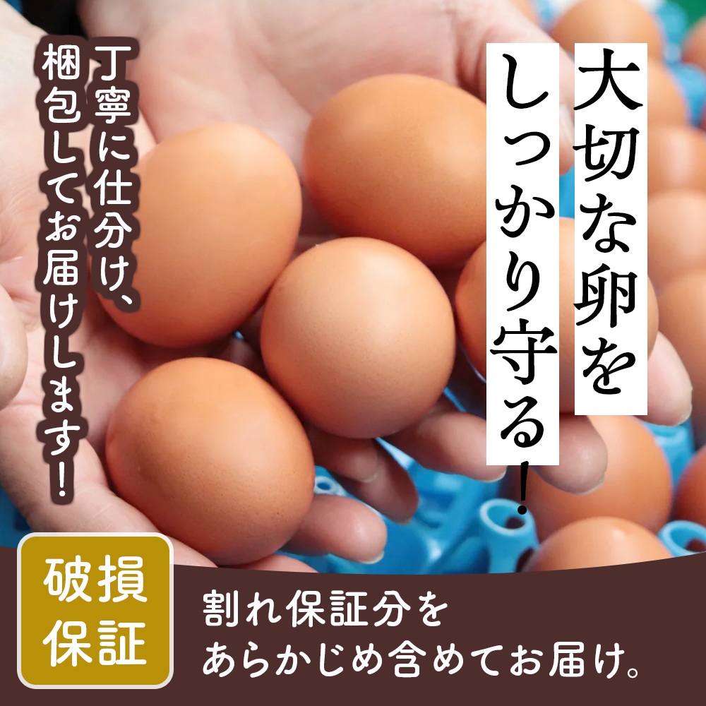 神奈川県伊勢原市のふるさと納税 坂本養鶏 大山の麓で育った さかもとのたまご 80個 (72個＋割れ保証8個)｜伊勢原市 赤玉卵 玉子 鶏卵 生卵 国産 TKG タマゴ 新鮮 大山 鶏 ギフト 安心 安全 親子丼 卵焼き 目玉焼き お菓子 [0387b]