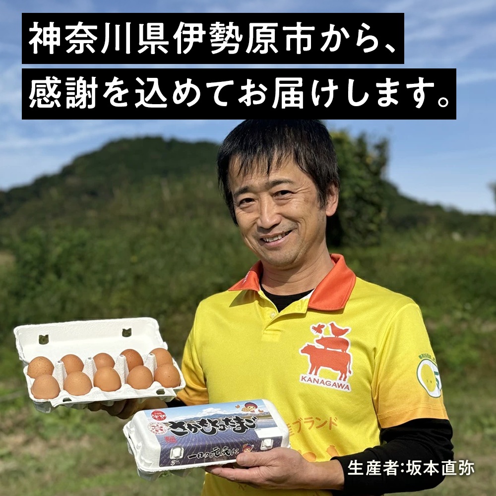 神奈川県伊勢原市のふるさと納税 坂本養鶏 大山の麓で育った さかもとのたまご 80個 (72個＋割れ保証8個)｜伊勢原市 赤玉卵 玉子 鶏卵 生卵 国産 TKG タマゴ 新鮮 大山 鶏 ギフト 安心 安全 親子丼 卵焼き 目玉焼き お菓子 [0704]