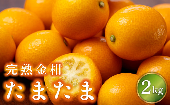  【先行予約】完熟金柑「たまたま」2kg