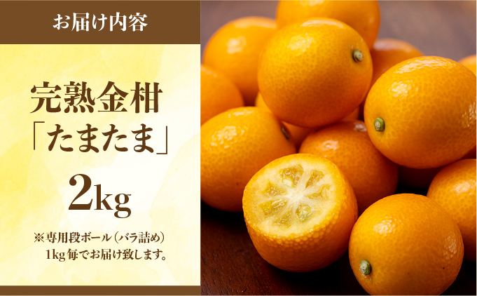 宮崎県串間市のふるさと納税  【先行予約】完熟金柑「たまたま」2kg