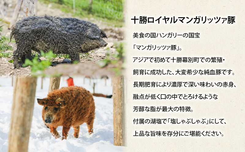 北海道 十勝 幕別のブランド放牧豚 食べ比べ定期便 [バラエティ/全3回] 遊ぶた・どろぶた・マンガリッツァ豚【 豚 豚肉 ブランド 放牧 しゃぶしゃぶ 焼肉 ハンバーグ ソーセージ 厚切り スライス ロース バラ 冷凍 モモ ロース 詰合せ 幕別 】