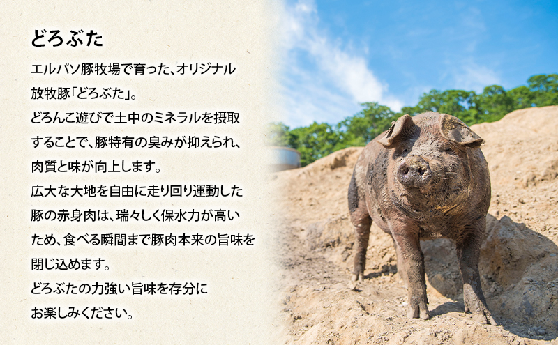 北海道 十勝 幕別のブランド放牧豚 食べ比べ定期便 [豪華満喫/全3回]マンガリッツァ豚・遊ぶた・どろぶた【 豚 豚肉 ブランド 放牧 しゃぶしゃぶ 焼肉 ハンバーグ ソーセージ 厚切り スライス ロース バラ 冷凍 モモ ロース 詰合せ 幕別 】