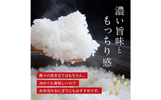 FK7-0222_【令和7年度産】【先行予約】嘉島町のおいしいお米（くまさんの輝き/白米） 5kg