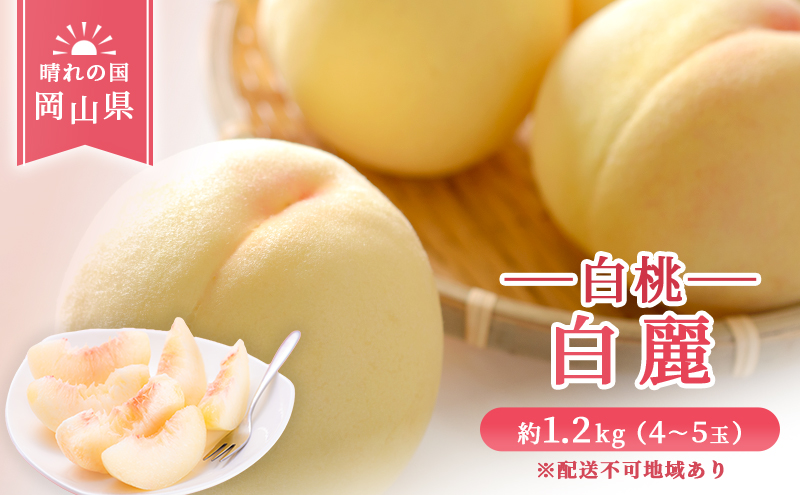 【 2026年 先行予約】 桃 岡山県産 白麗  (白桃) 約1.2kg (4～5玉)《2026年7月下旬-8月中旬頃出荷》 白桃 岡山 はくとう スイーツ フルーツ 果物 先行予約 数量限定 期間限定 岡山 里庄町 モモ もも 桃