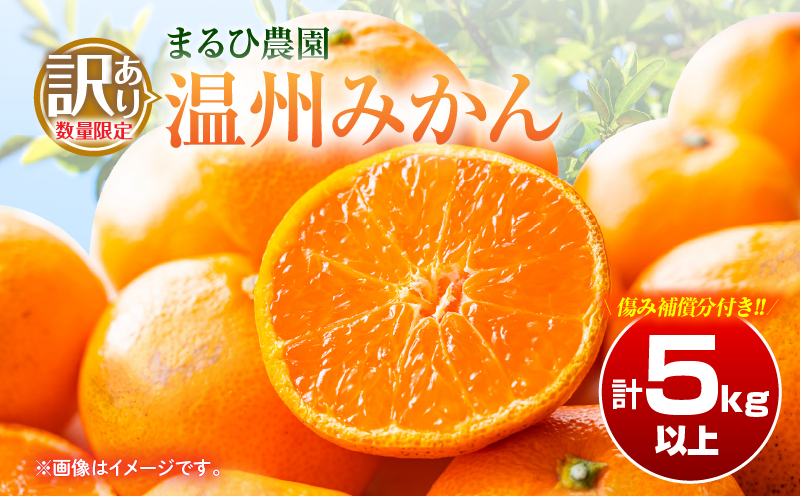 訳あり 温州 みかん 計5kg以上 傷み補