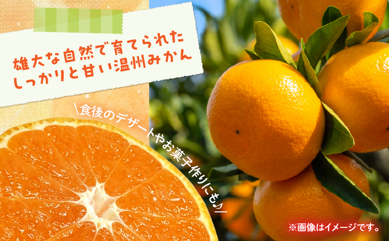 宮崎県日南市のふるさと納税 訳あり 温州 みかん 計5kg以上 傷み補償分付き まるひ農園 期間限定 数量限定 フルーツ 果物 くだもの 柑橘 ミカン 国産 食品 デザート おやつ 人気 スイーツ おすすめ ご家庭用 訳アリ ワケあり おすそ分け 新鮮 産地直送 宮崎県 日南市 送料無料_ZZV2-25