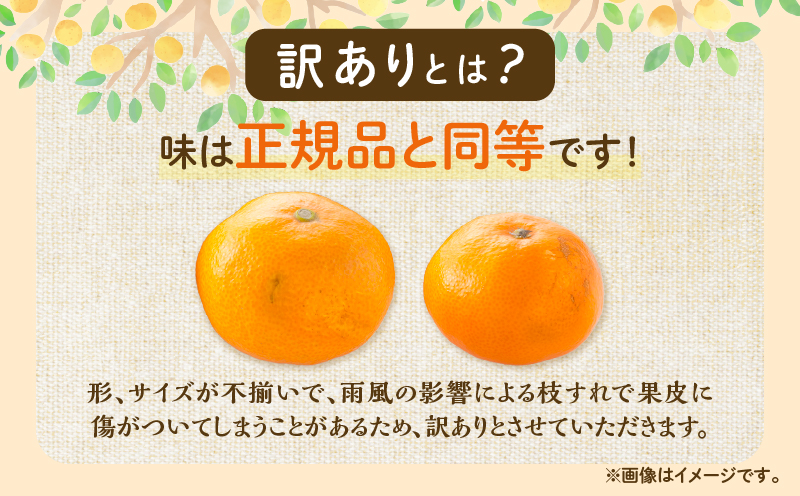 宮崎県日南市のふるさと納税 訳あり 温州 みかん 計5kg以上 傷み補償分付き まるひ農園 期間限定 数量限定 フルーツ 果物 くだもの 柑橘 ミカン 国産 食品 デザート おやつ 人気 スイーツ おすすめ ご家庭用 訳アリ ワケあり おすそ分け 新鮮 産地直送 宮崎県 日南市 送料無料_ZZV2-25