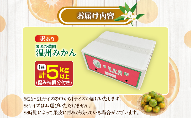 宮崎県日南市のふるさと納税 訳あり 温州 みかん 計5kg以上 傷み補償分付き まるひ農園 期間限定 数量限定 フルーツ 果物 くだもの 柑橘 ミカン 国産 食品 デザート おやつ 人気 スイーツ おすすめ ご家庭用 訳アリ ワケあり おすそ分け 新鮮 産地直送 宮崎県 日南市 送料無料_ZZV2-25