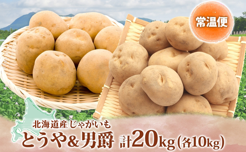 じゃがいも2種セット 計20kg とうや 男爵 2025年9月上旬～12月中旬までお届け ジャガイモ 芋 甘い ホクホク ポテト カレー 調理 料理 煮込み料理 旬 野菜 お取り寄せ 北海道 洞爺湖町