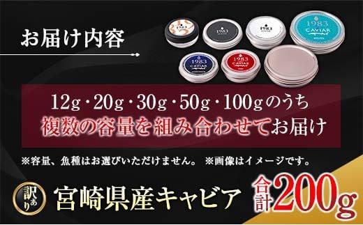宮崎県日南市のふるさと納税 訳あり 数量限定 5つ星ホテル採用 宮崎県産 キャビア 詰め合わせ セット 合計200g 期間限定 キャビア塩付き 魚卵 魚介 魚貝 国産 熟成 新鮮 高級 希少 食品 三大珍味 黒いダイヤ おすすめ 水産物 おつまみ ご褒美 お祝い 記念日 パーティー 日南市 送料無料_XF1-25-C