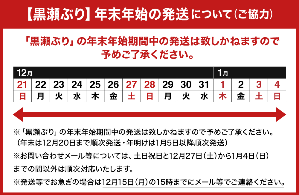 宮崎県串間市のふるさと納税 KU281-2511 ＜2025年11月発送分＞活じめ！黒瀬ぶりの生鮮ブリロイン2節（1kg前後）