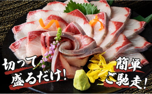 宮崎県串間市のふるさと納税 KU281-2511 ＜2025年11月発送分＞活じめ！黒瀬ぶりの生鮮ブリロイン2節（1kg前後）