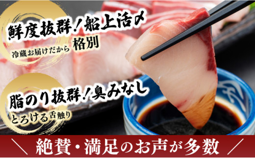 宮崎県串間市のふるさと納税 KU281-2511 ＜2025年11月発送分＞活じめ！黒瀬ぶりの生鮮ブリロイン2節（1kg前後）