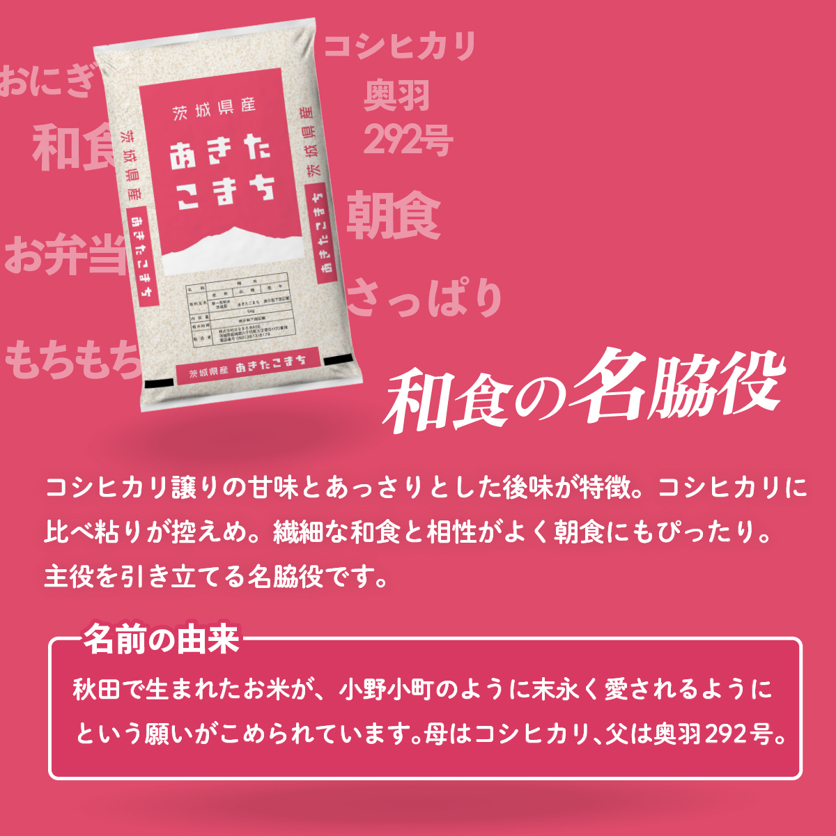 茨城県八千代町のふるさと納税 【10月発送】新米 あきたこまち 5kg (5kgx1袋) 令和7年産 茨城県産 こしひかり 白米 精米 茨城県 八千代町 お米 米 [SF306yai]