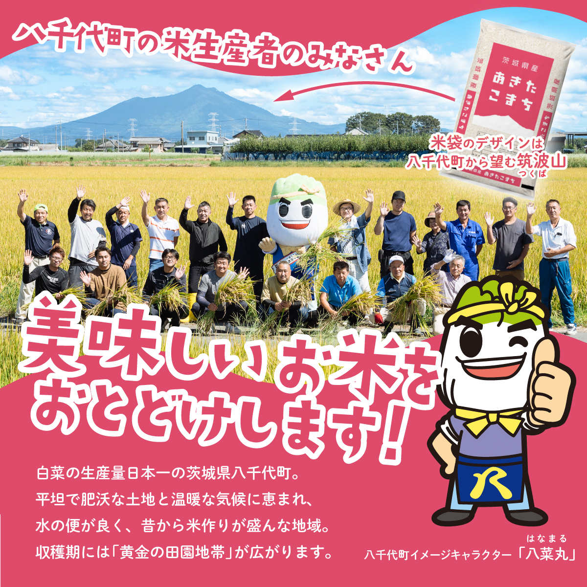茨城県八千代町のふるさと納税 【12月発送】新米 あきたこまち 5kg (5kgx1袋) 令和7年産 茨城県産 こしひかり 白米 精米 茨城県 八千代町 お米 米 [SF287yai]