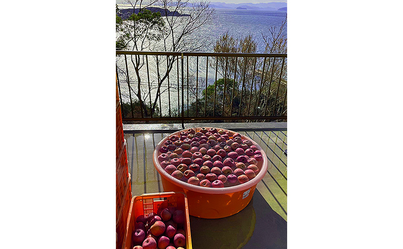 シードル 2025 甘口・辛口2本セット/ 小豆島醸造 / ふじりんご100%のお酒