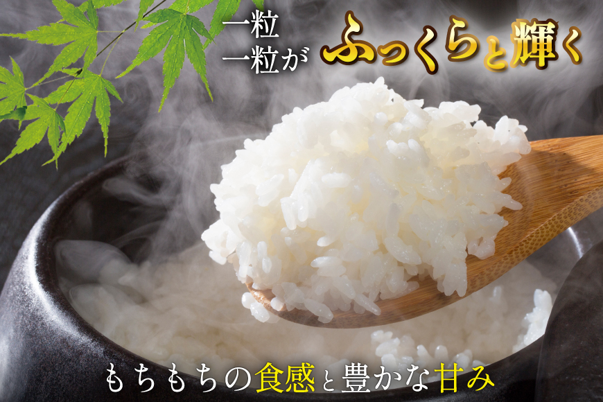 宮城県気仙沼市のふるさと納税 米 令和7年産 宮城県産 とまたんのひとめぼれ 3kg [サンフレッシュ小泉農園 宮城県 気仙沼市 20565645] 新米 ひとめぼれ ブランド米 白米 精米 ご飯 ごはん コメ こめ お米 小分け 家庭用