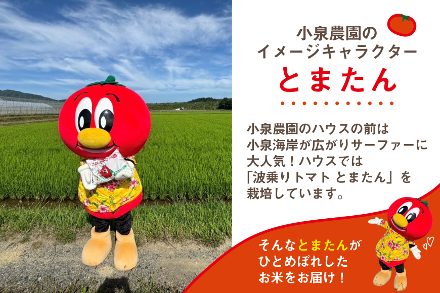 宮城県気仙沼市のふるさと納税 米 令和7年産 宮城県産 とまたんのひとめぼれ 3kg [サンフレッシュ小泉農園 宮城県 気仙沼市 20565645] 新米 ひとめぼれ ブランド米 白米 精米 ご飯 ごはん コメ こめ お米 小分け 家庭用